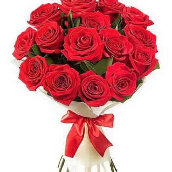 Lovely red rose special