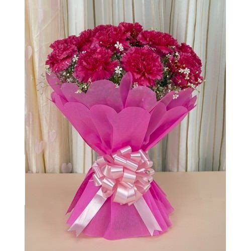 Lovely magenta colour carnation flowers