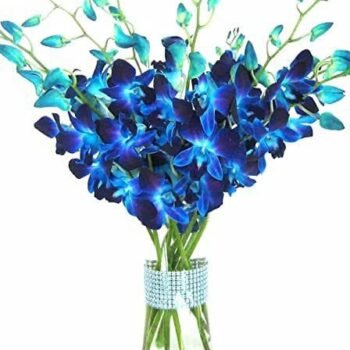 Royal blue pot with vase