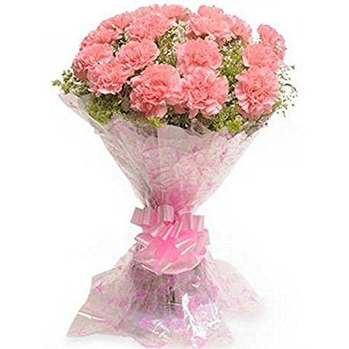 Lovely pink carnation flowers