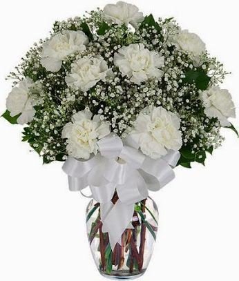 White Carnation flowers