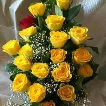 Best Occasion Yellow rose bouquet