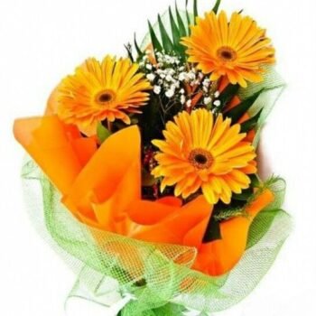 Best Jirbera flowers bouquet