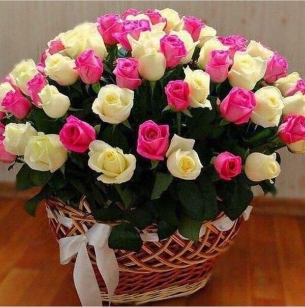 Best Occasion lovely Mix Rose basket